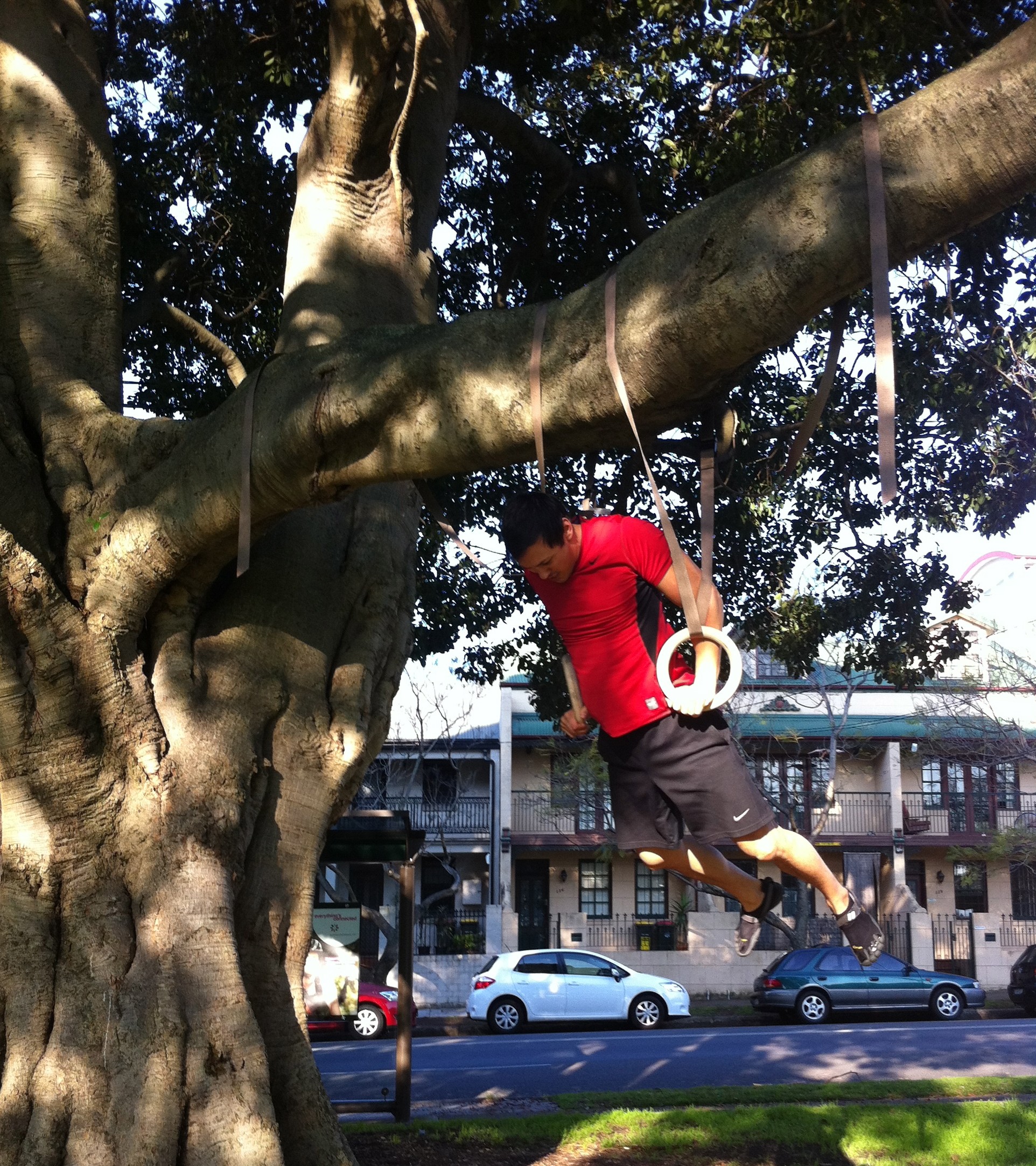 Muscle Ups in Tree
