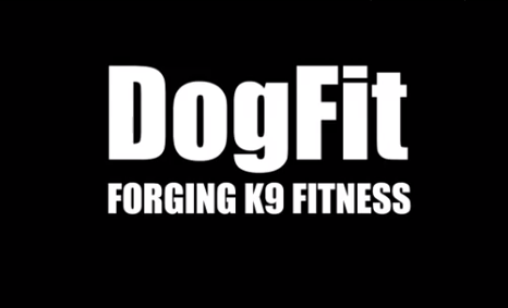 Dogfit