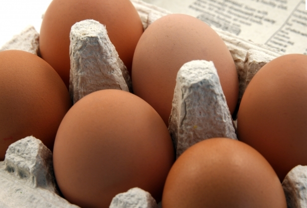 Eggs