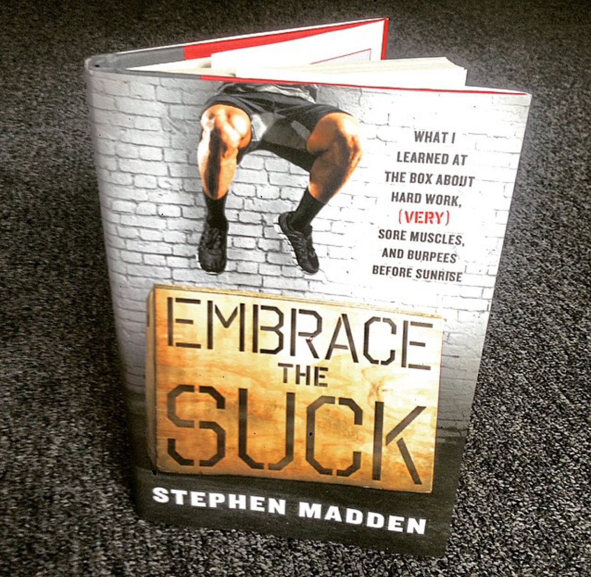 embrace the suck by stephen madden