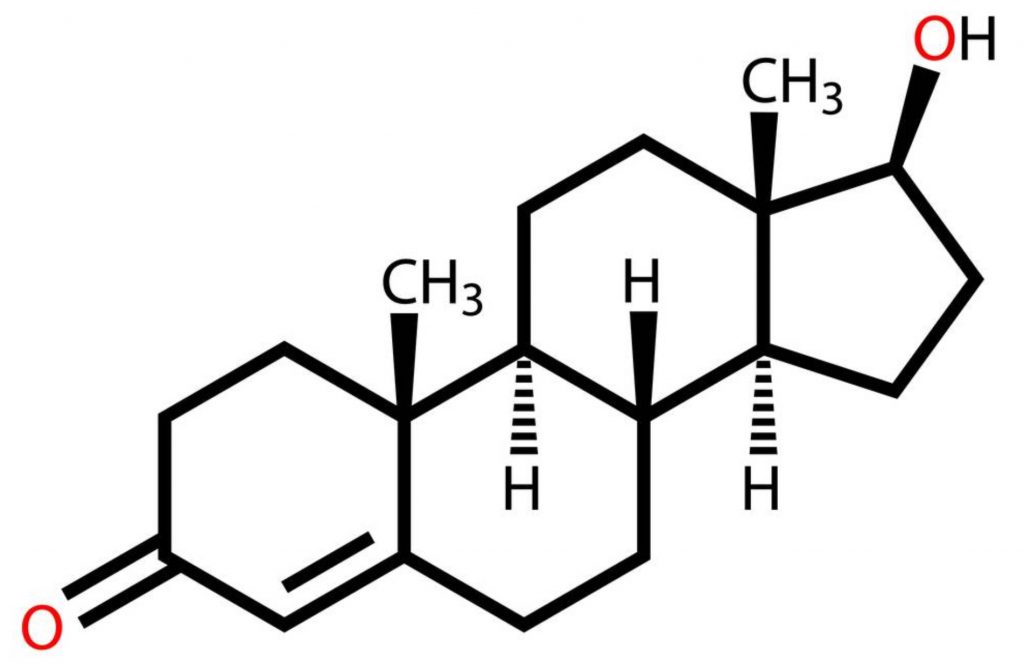 testesterone 2