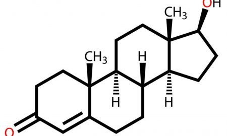 testesterone 2