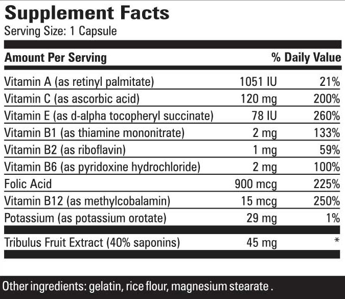 synergen3 review