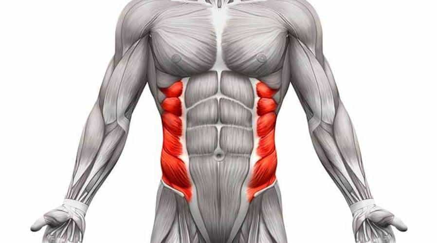 Top 10 Best Oblique Exercises for a Rock Solid and Stable Core
