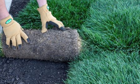 How to Lay Sod