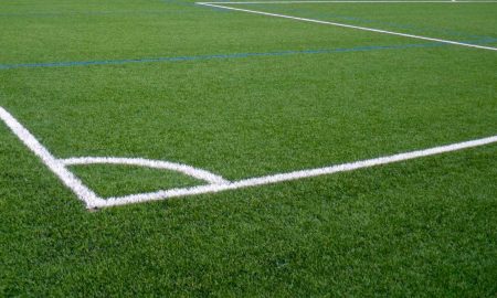 synthetic turf grass