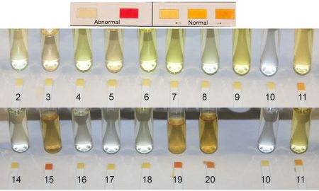 synthetioc urine