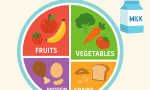 food plate for children